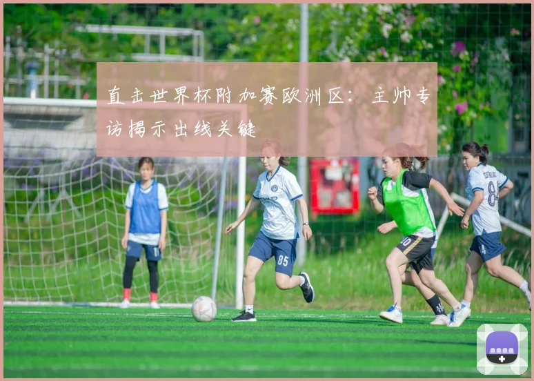 直击世界杯附加赛欧洲区：主帅专访揭示出线关键
