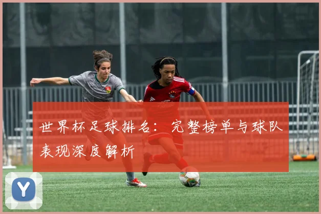 世界杯足球排名:完整榜单与球队表现深度解析
